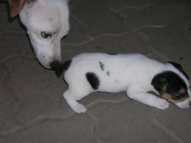 DSCN1284.JPG