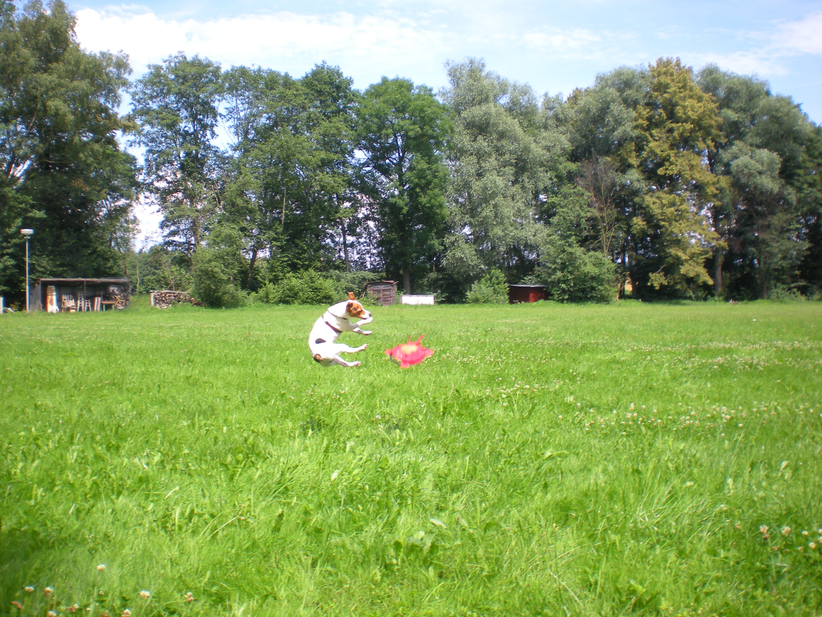 DSCN1134.JPG